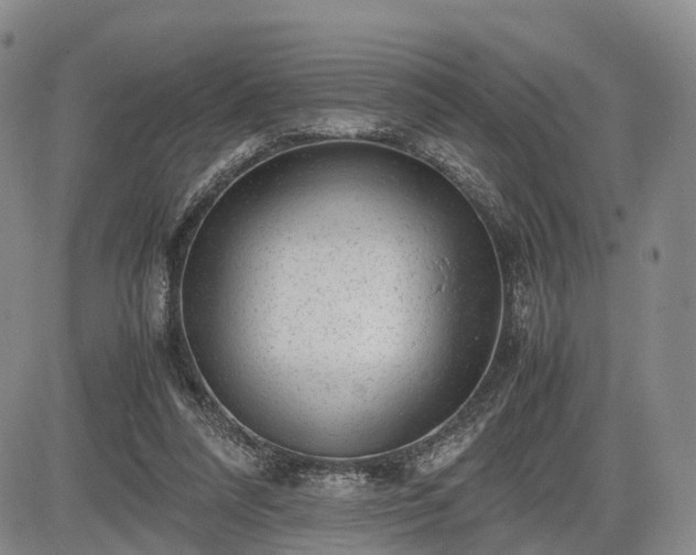 X0000085210304200703161226