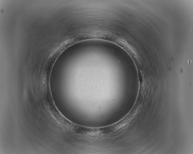 X0000085210306200703161226