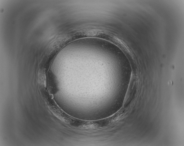 X0000085210307200703161226