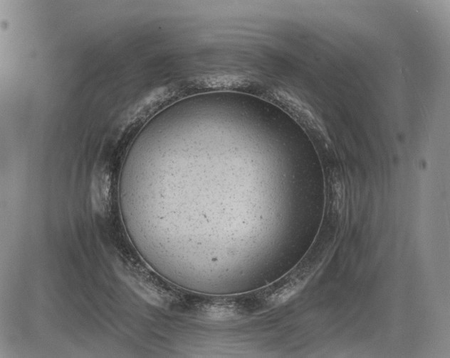 X0000085210308200703161226