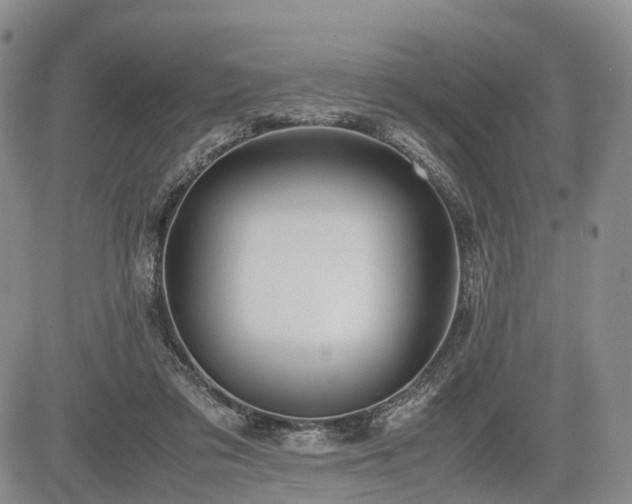 X0000085210309200703161226