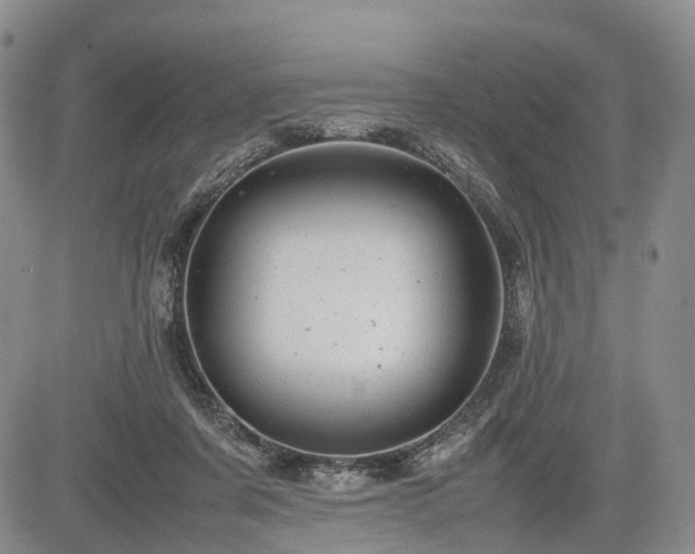 X0000085210311200703161226