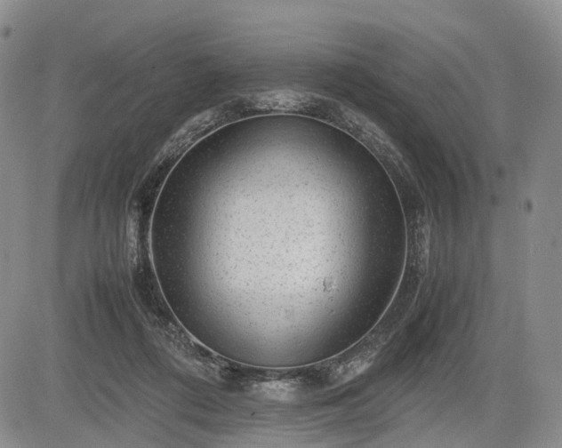 X0000085210312200703161226