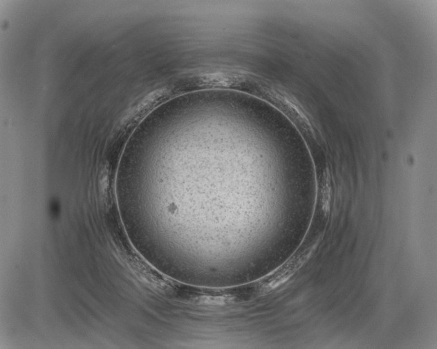 X0000085210314200703161226