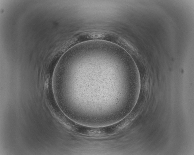 X0000085210315200703161226