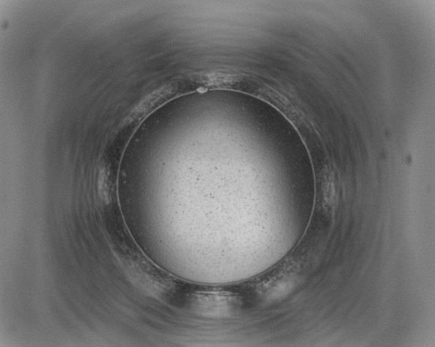 X0000085210316200703161226