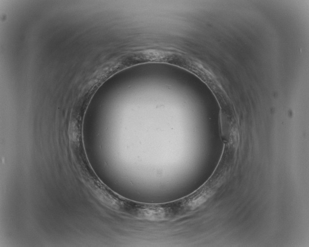 X0000085210317200703161226