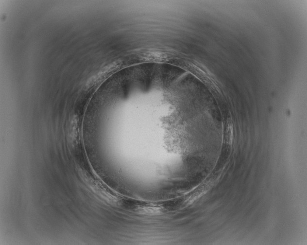 X0000085210318200703161226