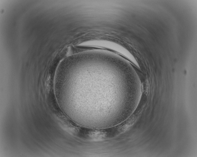 X0000085210319200703161226