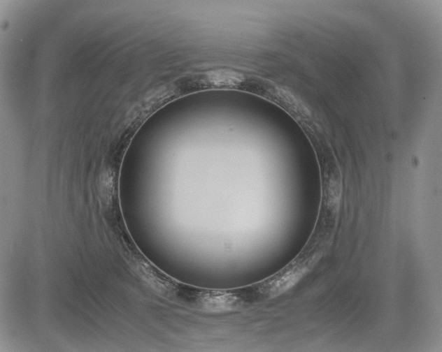 X0000085210321200703161226