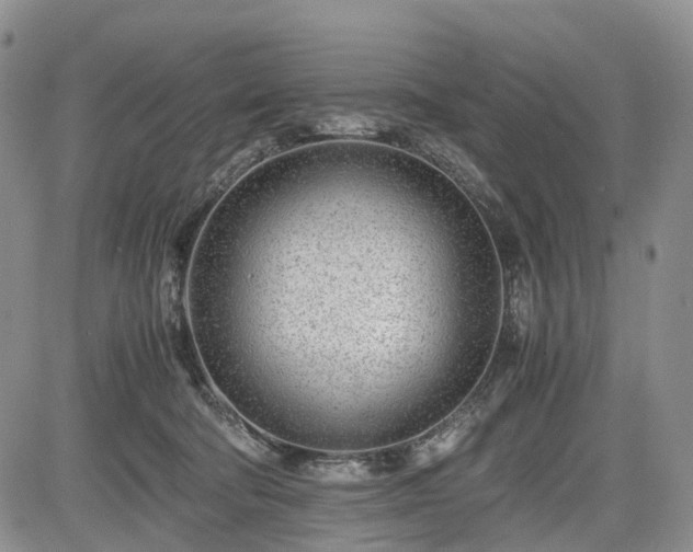 X0000085210322200703161226