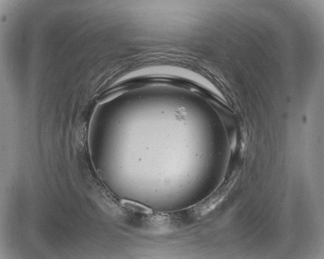 X0000085210325200703161226