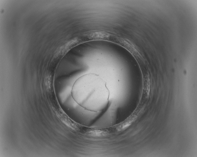 X0000085210326200703161226