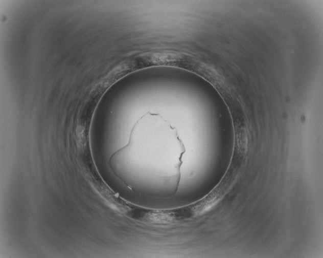 X0000085210327200703161225