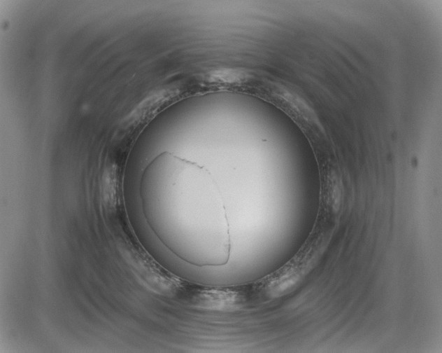 X0000085210328200703161225