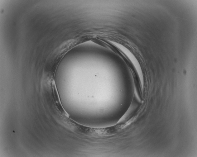 X0000085210329200703161225