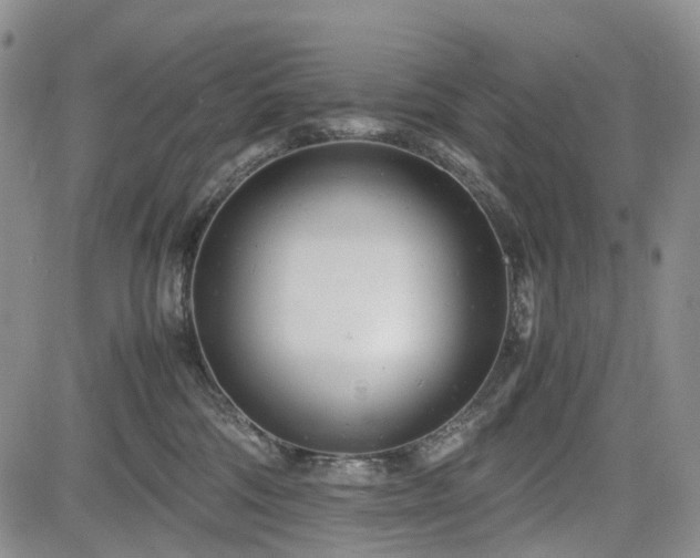 X0000085210330200703161225