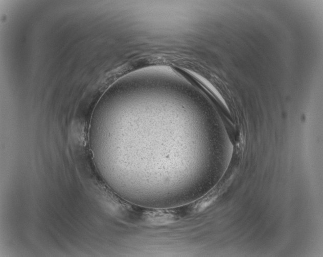 X0000085210331200703161225