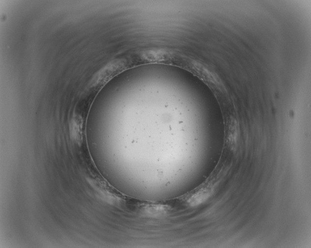 X0000085210332200703161225