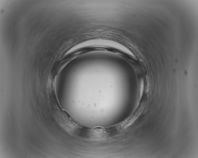 X0000085210333200703161225