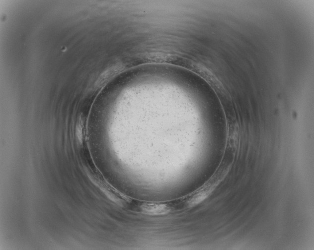 X0000085210334200703161225