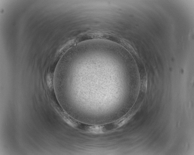 X0000085210335200703161225