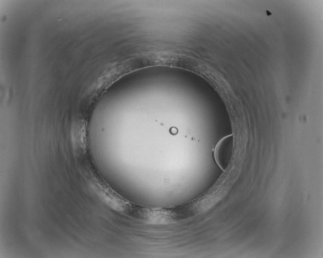 X0000085210336200703161225