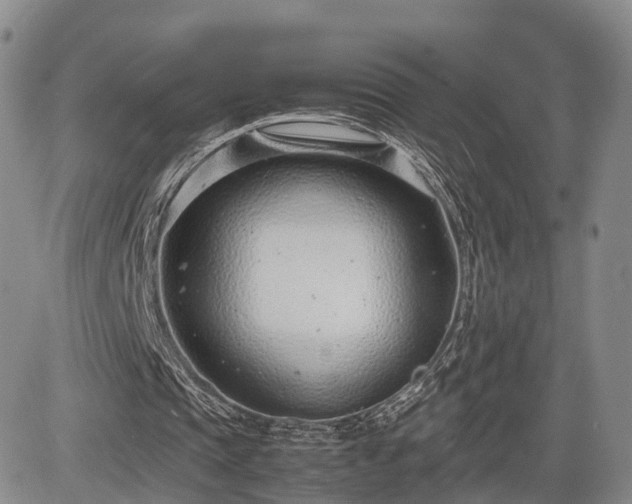 X0000085210337200703161225