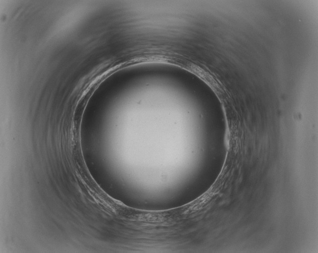 X0000085210338200703161225