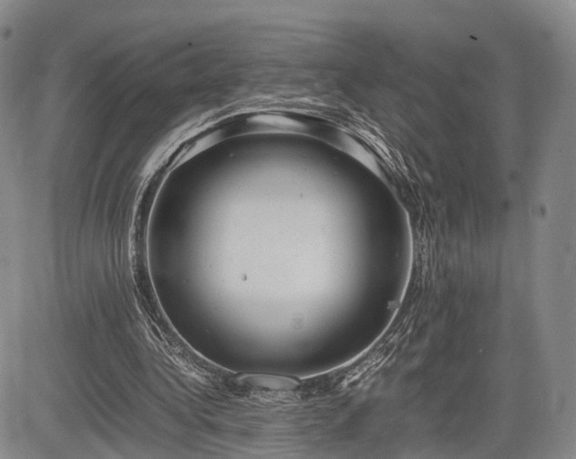 X0000085210340200703161225