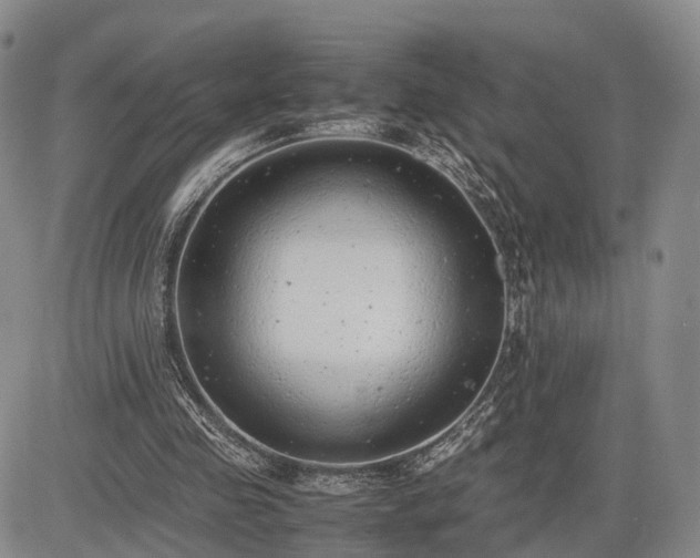 X0000085210341200703161225