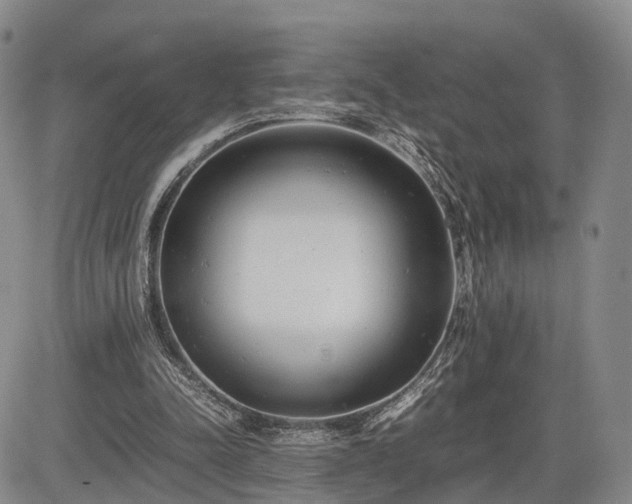 X0000085210342200703161225