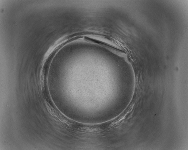 X0000085210343200703161225