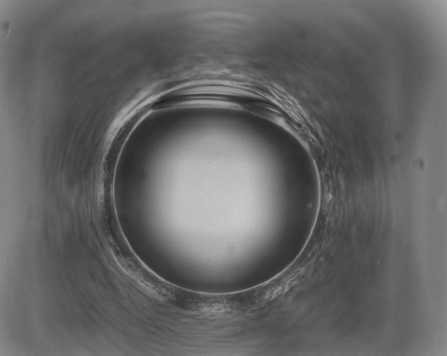 X0000085210344200703161225