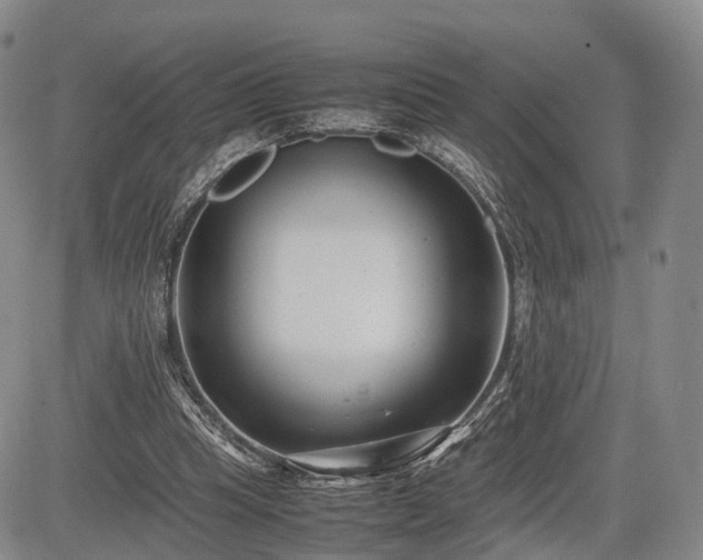 X0000085210345200703161225