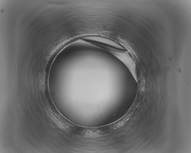 X0000085210346200703161225