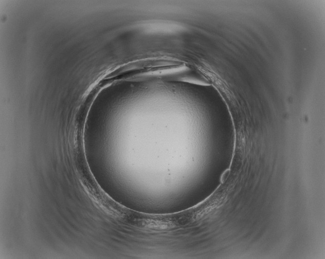 X0000085210347200703161225