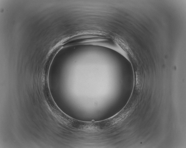 X0000085210348200703161225