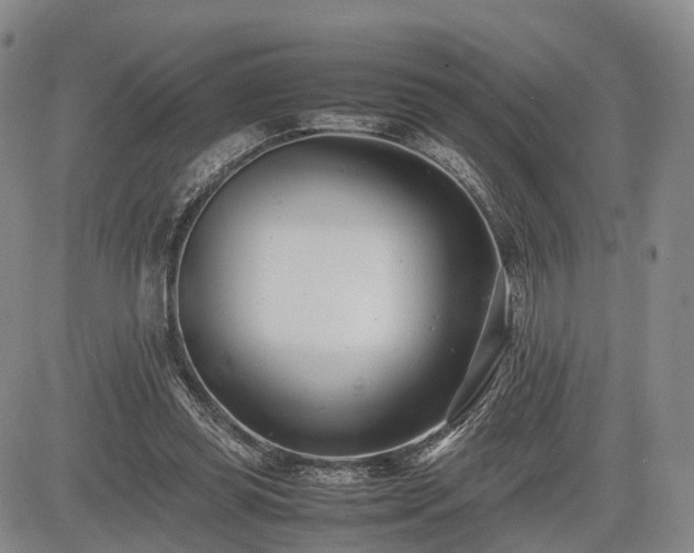 X0000085210349200703161225