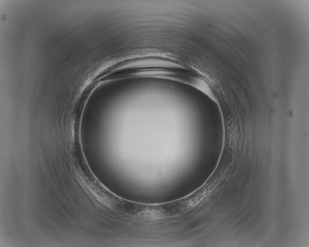 X0000085210350200703161225