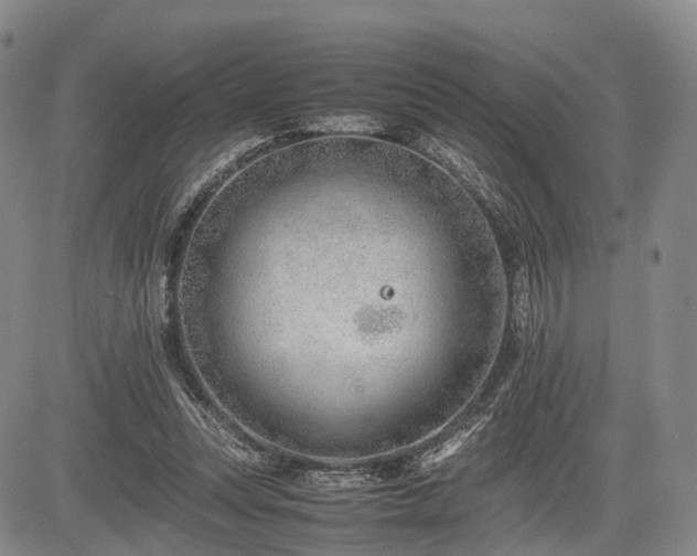 X0000085210351200703161225