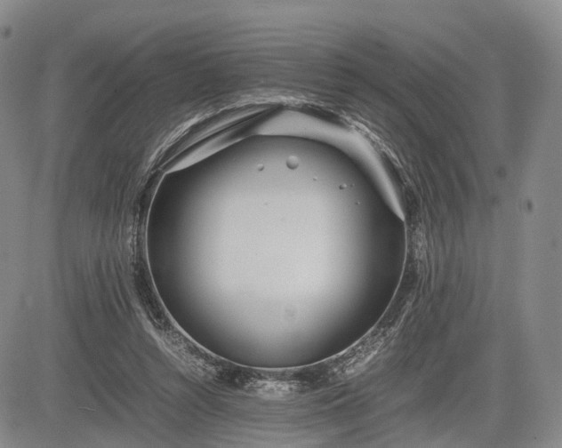 X0000085210352200703161225