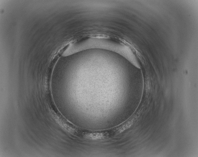 X0000085210353200703161225