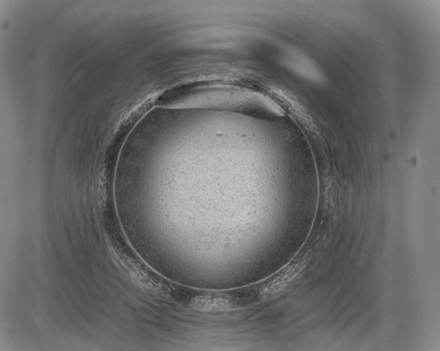 X0000085210354200703161225