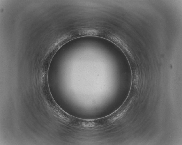 X0000085210355200703161225