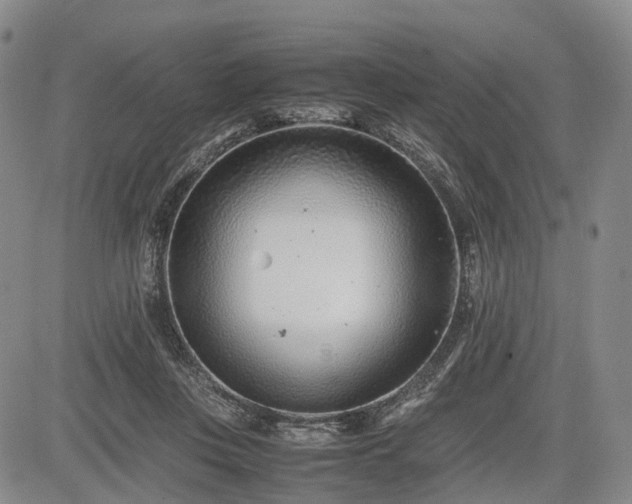 X0000085210359200703161225