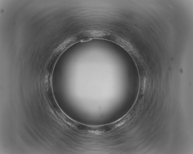 X0000085210360200703161225