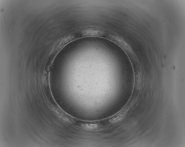 X0000085210361200703161225