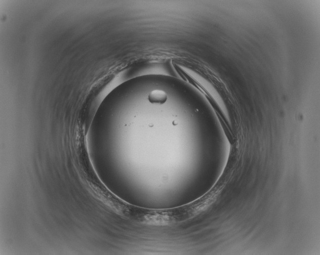 X0000085210362200703161225