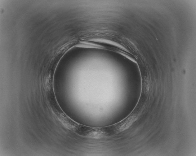 X0000085210364200703161225